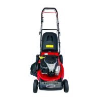 Hexagon 21″ Self Propelled Lawn Mower 21BS3IN1ESC